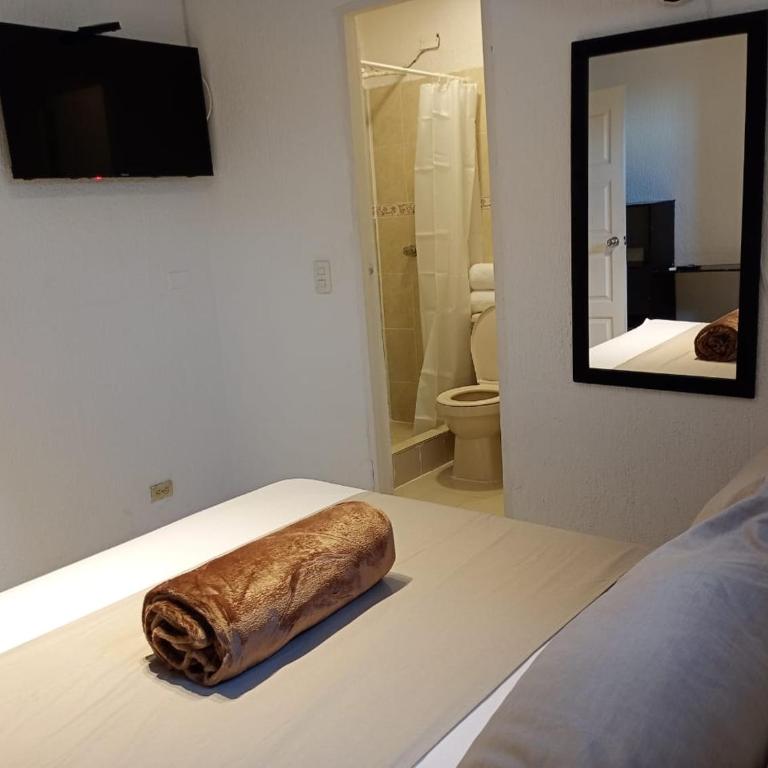 Hotel Aerocafe Pereira - Deluxe Double Room - 30