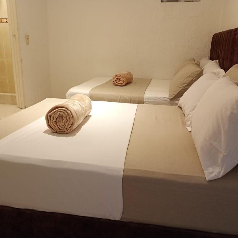 Hotel Aerocafe Pereira - Deluxe Family Room - 26