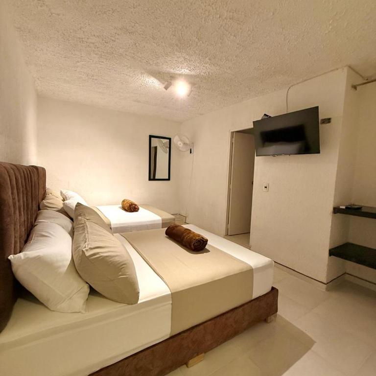 Hotel Aerocafe Pereira - Deluxe Double Room - 2