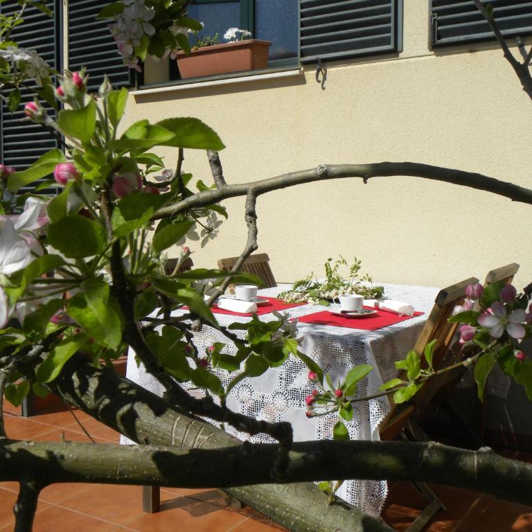 El Jardin de los Gatos Apartament - Appartement - Rez-de-Chaussée - 36