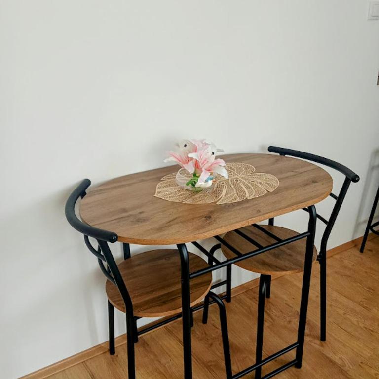 Apartmani Janićijević 2 - One-Bedroom Apartment - 4