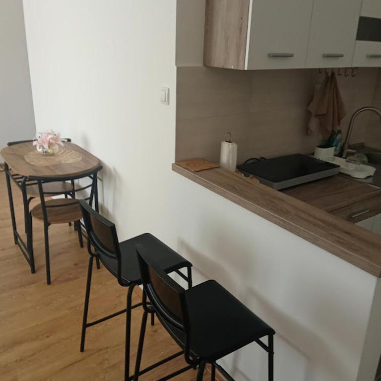 Apartmani Janićijević 2 - One-Bedroom Apartment - 5