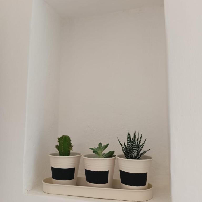 Da Cateinin - Apartment mit 2 Schlafzimmern - 6