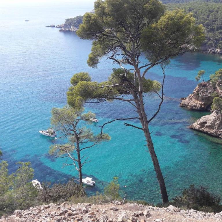 T3 Bandol - Appartement 3 Chambres - 6