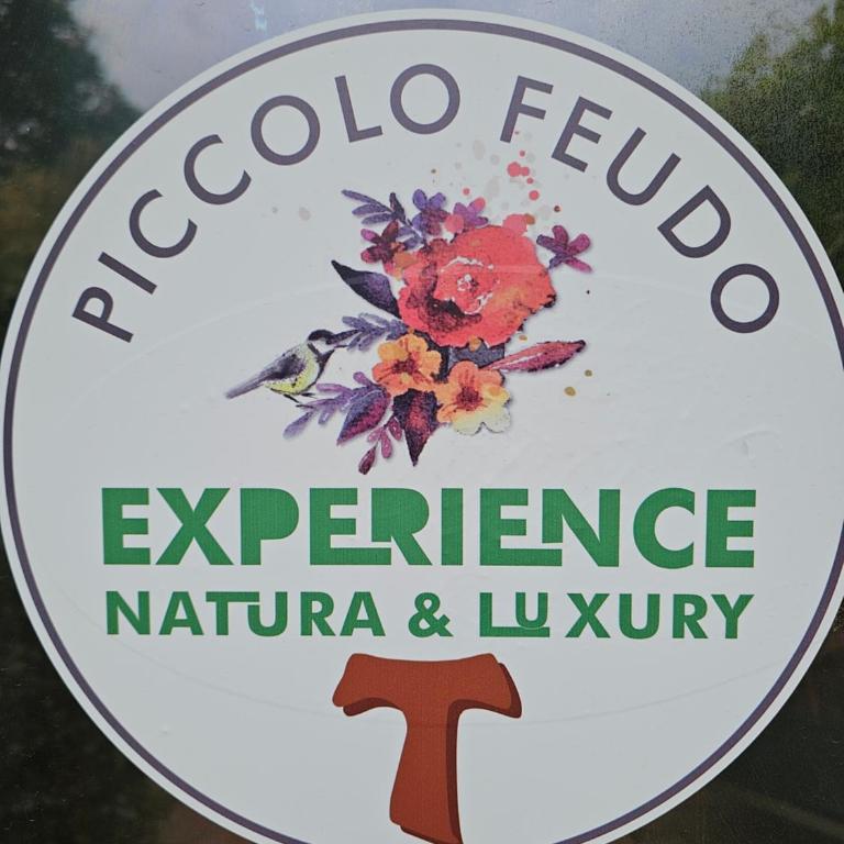 Piccolo Feudo Green Resort - Camera Quadrupla Superior - 3