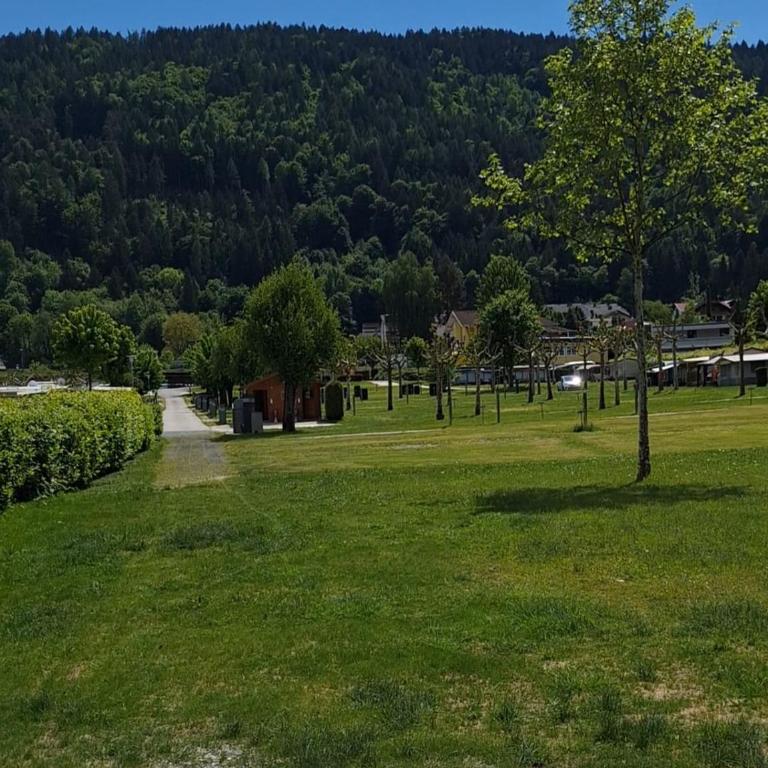 Mobilhome-Bali Premium by Camping Lampele-Ossiachersee-Klimaanlage-Radfahren-Wandern-Auszeit - Mobilheim - 13