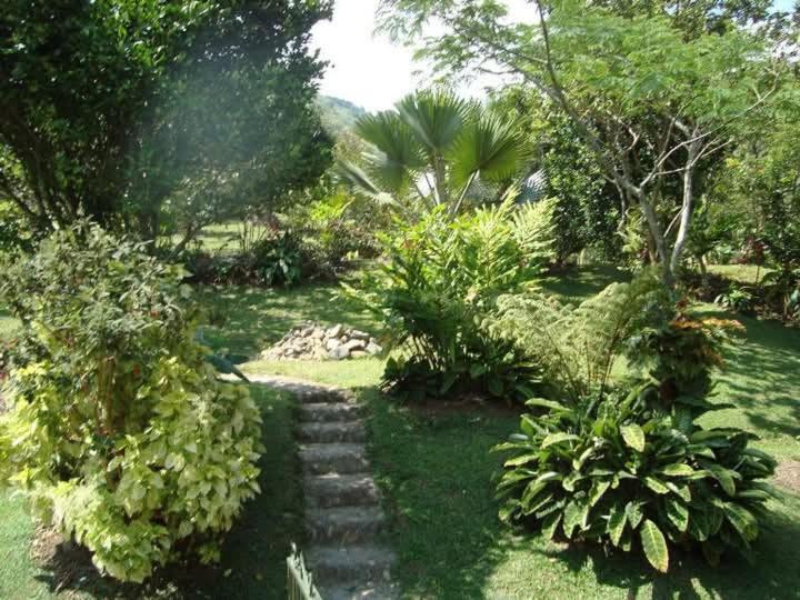 Finca Arcanos Celeste - One-Bedroom House - 7