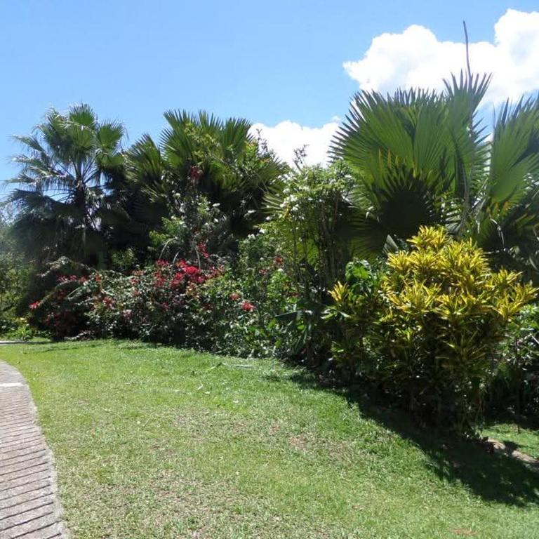 Finca Arcanos Celeste - One-Bedroom House - 15