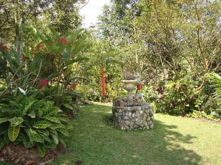 Finca Arcanos Celeste - One-Bedroom House - 16