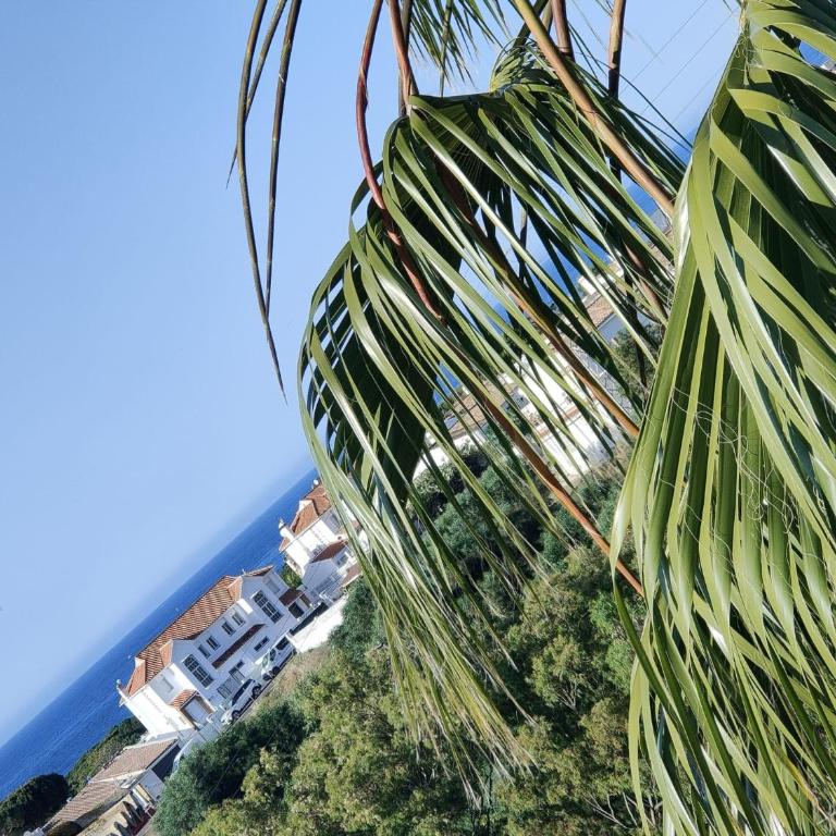 Sea view apartment - Apartamento de 2 dormitorios con vistas al mar - 2