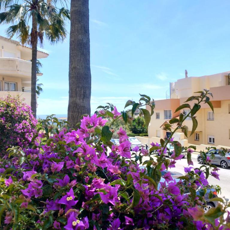 Sea view apartment - Apartamento de 2 dormitorios con vistas al mar - 3