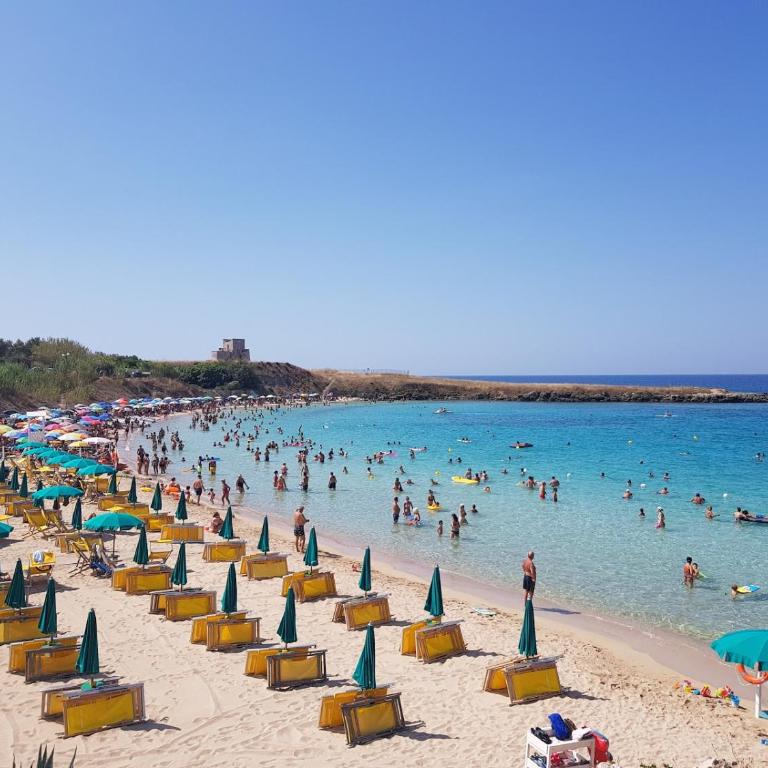 barneys design apartment - One-Bedroom Apartment - 27