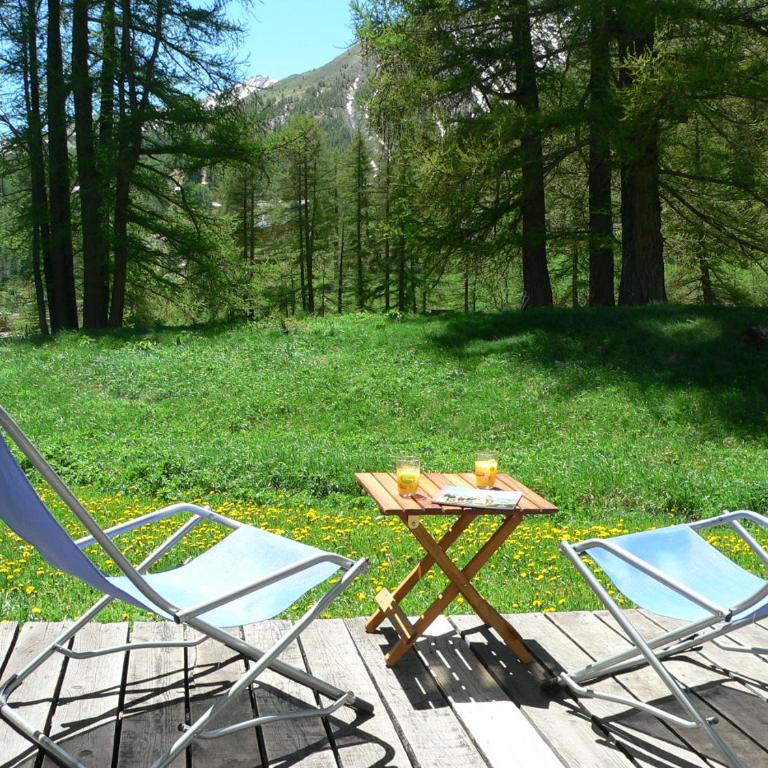 Foux d' Allos Les Etoiles - Appartement - Rez-de-Chaussée - 38