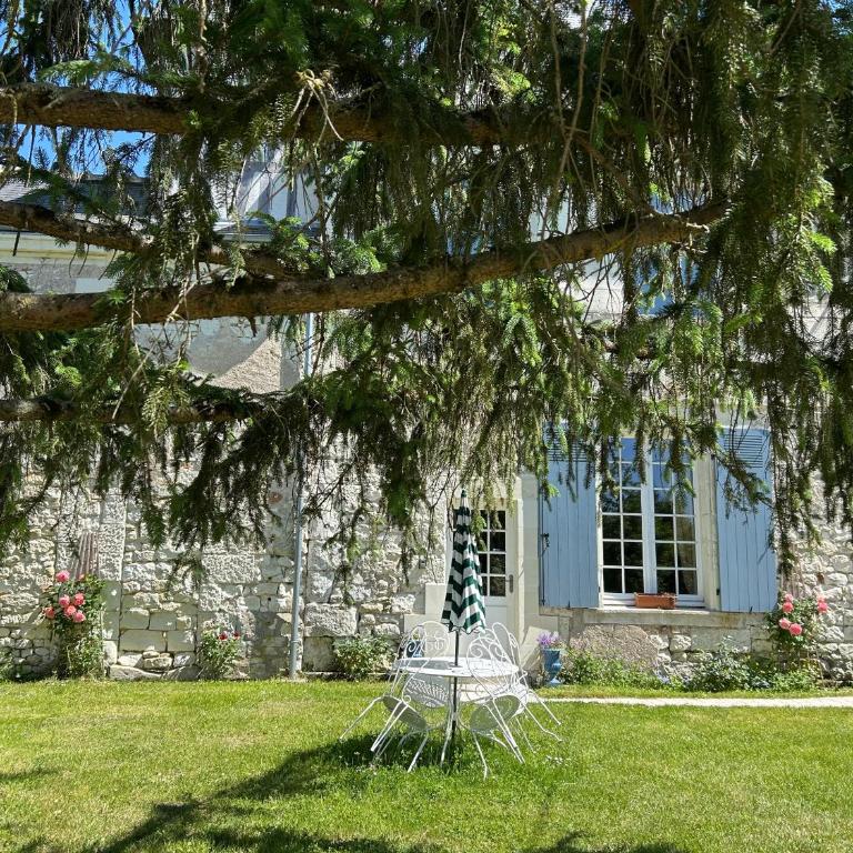 Grand gite en rez-de-jardin - Appartamento con 1 Camera da Letto - 20