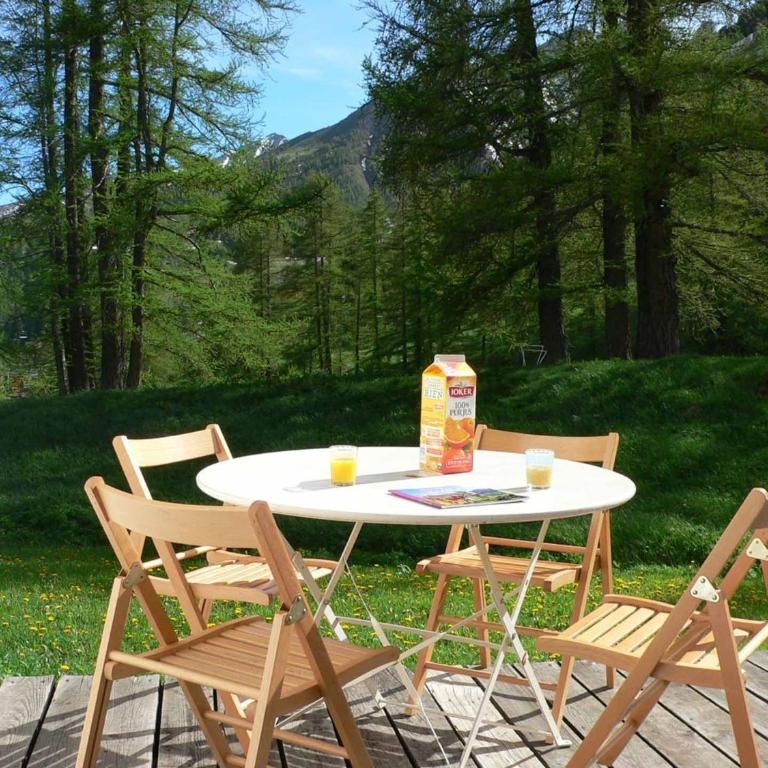 Foux d' Allos Les Etoiles - Appartement - Rez-de-Chaussée - 7