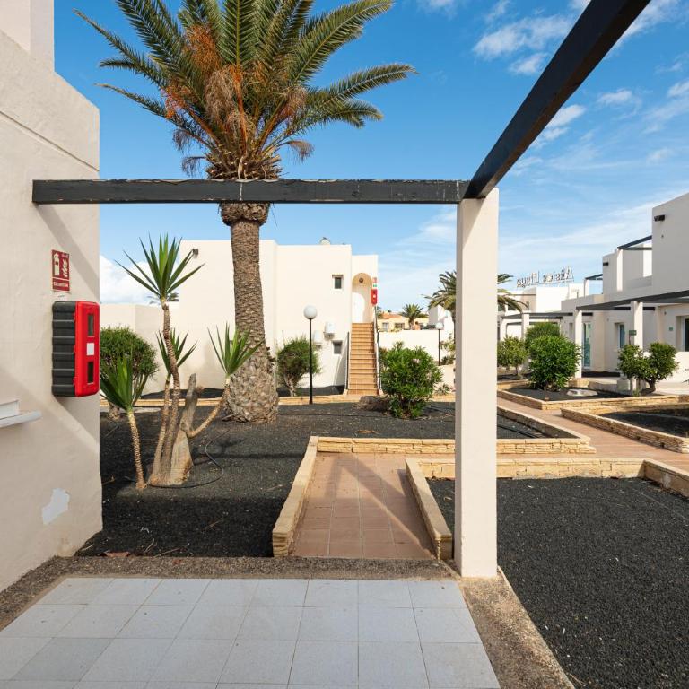 Apartamentos Alisios con terraza y piscina - Apartment - 25
