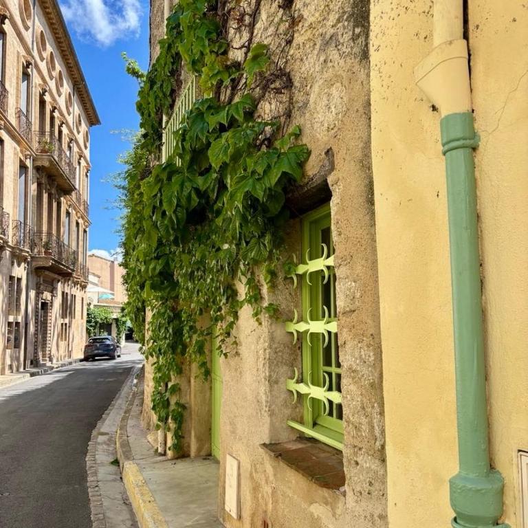 Well equipped village house close to historic centre - Pézenas - Maison de Vacances - 42