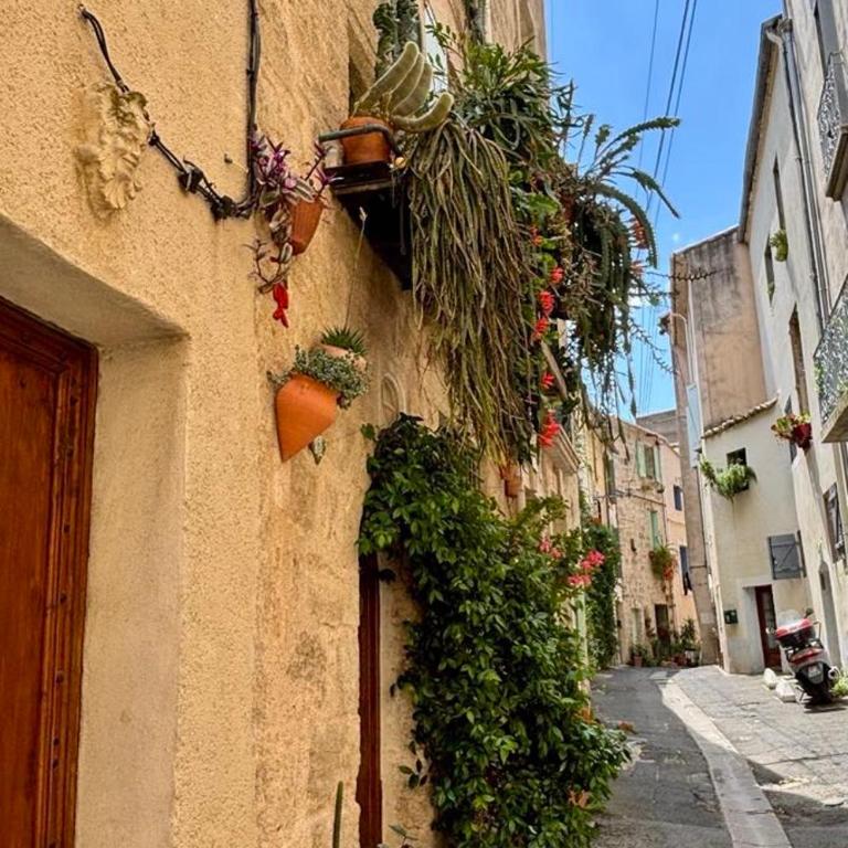 Well equipped village house close to historic centre - Pézenas - Maison de Vacances - 41