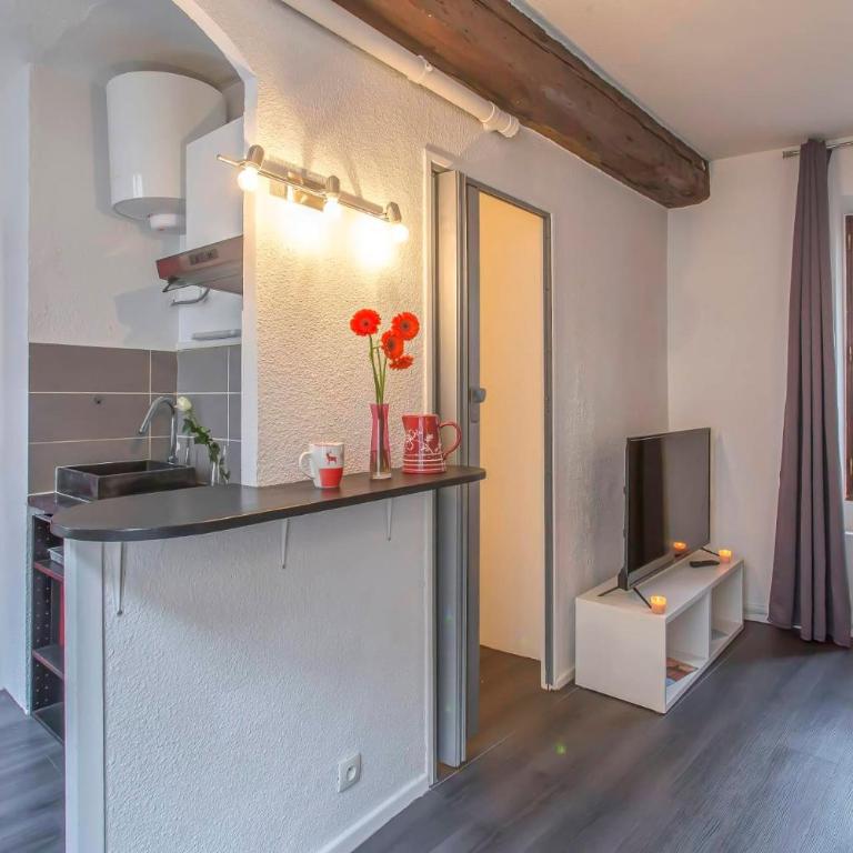 A 4 mn de Grenette Hypercentre - Appartement 1 Chambre - 4