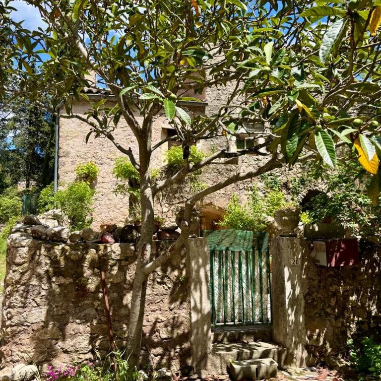 Well equipped village house close to historic centre - Pézenas - Maison de Vacances - 35