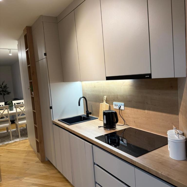 River Walk Sarajevo-Ilidza Best Apartman - Two-Bedroom Apartment - 8
