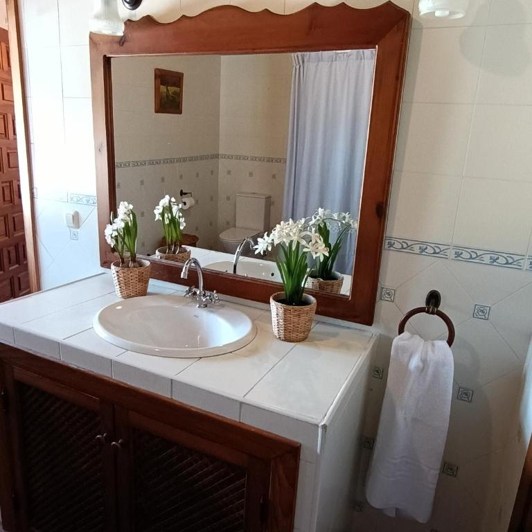 Cortijo Eucalipto Nerja 2 - Casa de Campo de 2 dormitorios - 16