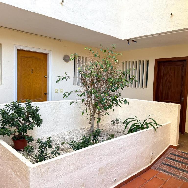 Apartamento Mare Nostrum Unitursa - Apartamento de 1 dormitorio - 5