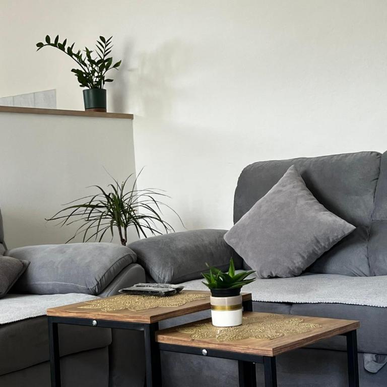 Apartman Šaraba Trebinje - Apartman sa 1 Spavaćom Sobom - 16