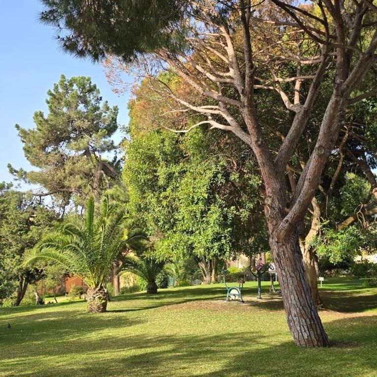 Apartamento Suite del Mar Marbella, Luxury stay - Apartamento de 1 dormitorio - 10