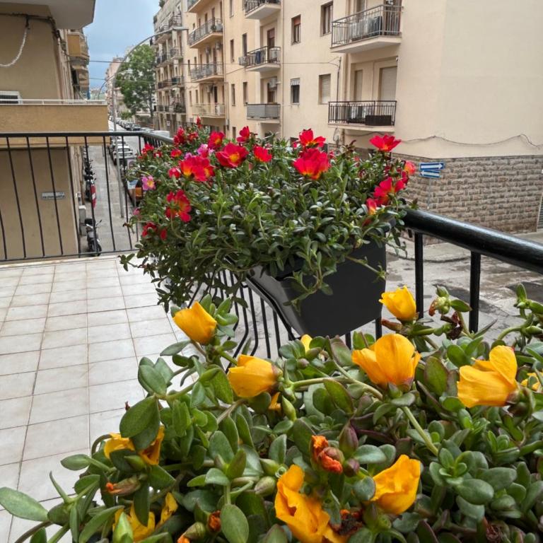 Noa affittacamere - Camera Matrimoniale con Balcone - 12