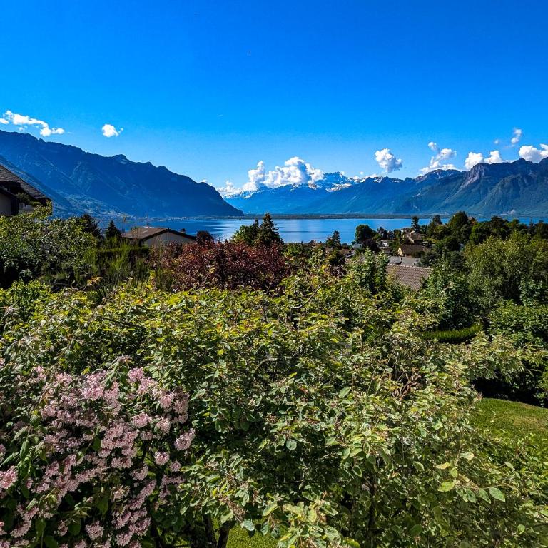 Appt terrasse idéalement situé Chailly sur Montreux - Apartment - 22
