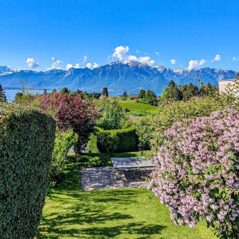 Appt terrasse idéalement situé Chailly sur Montreux - Apartment - 11