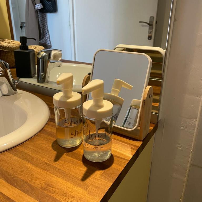 Amboise centre ville - Appartement 1 Chambre - 5