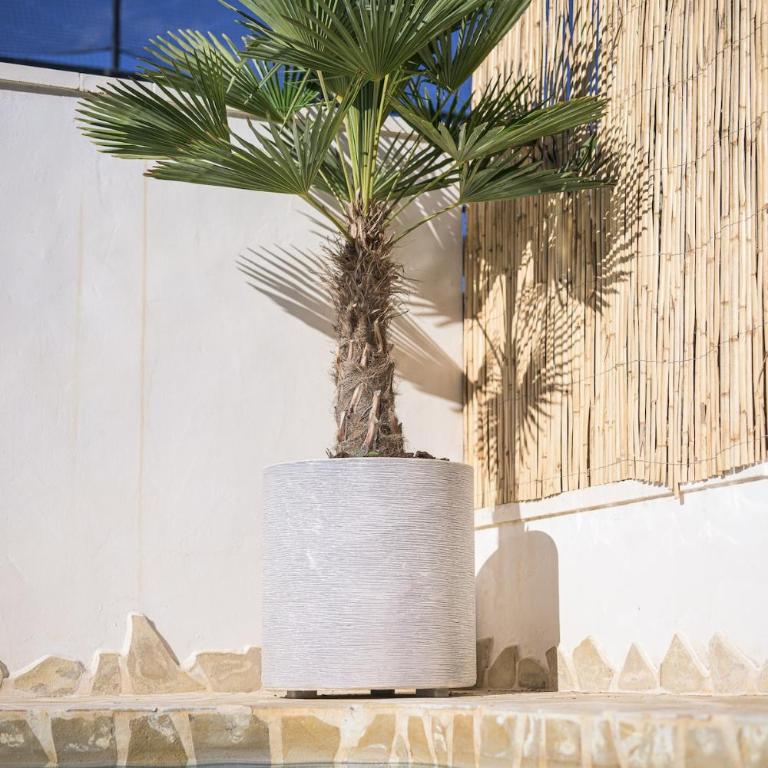 Lovely villa with private pool - Villa de 2 dormitorios - 23