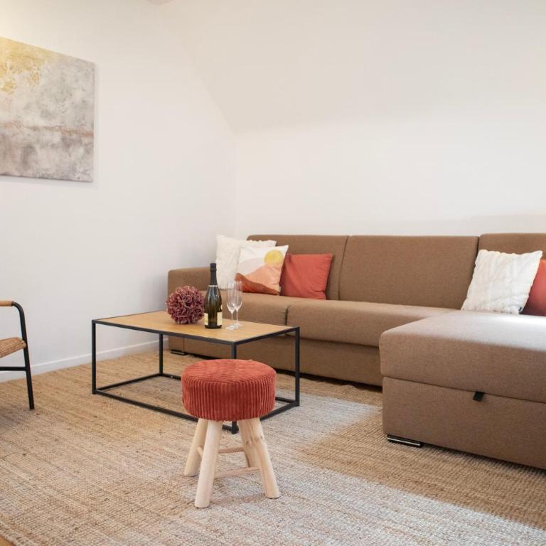 ColmarAppart Vauban avec Spa - HANSI & SPA - 33