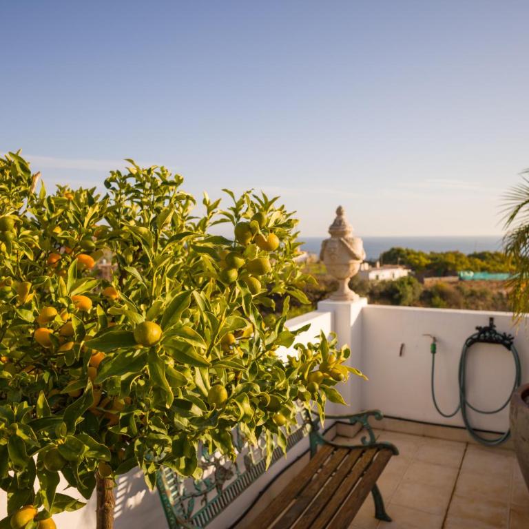 Chimenea - Luxury Villa with Private Pool & Stunning Sea Views - LUAL - Villa de 2 dormitorios - 37