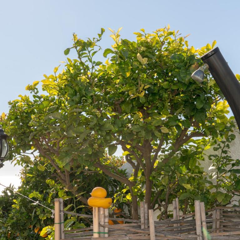 Chimenea - Luxury Villa with Private Pool & Stunning Sea Views - LUAL - Villa de 2 dormitorios - 43