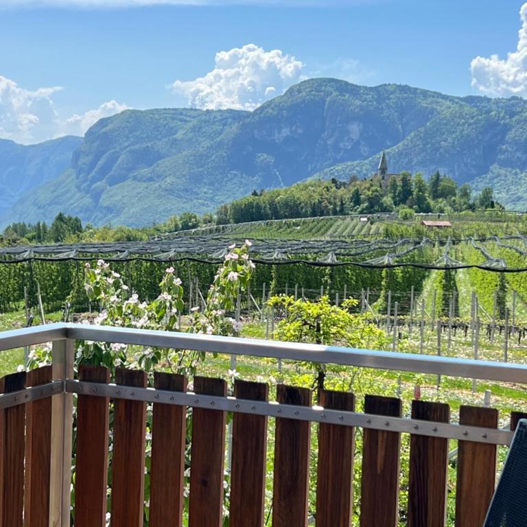 Kerschbamerhof im Süden Südtirols - Apartment with Pool View - 6