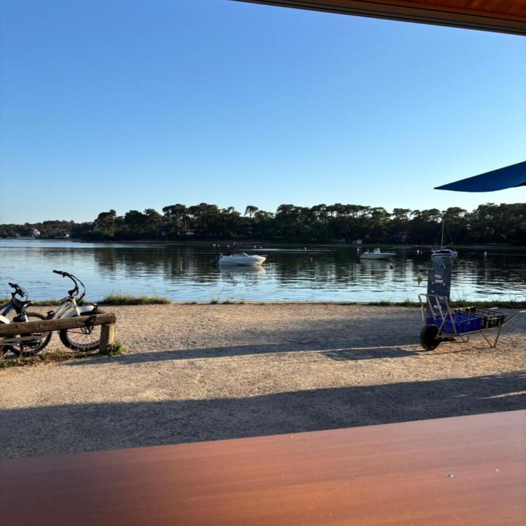 Connemara, Superbe Villa avec piscine, au cœur de la forêt, accès à la plage en vélo - Villa avec Piscine Privée - 35