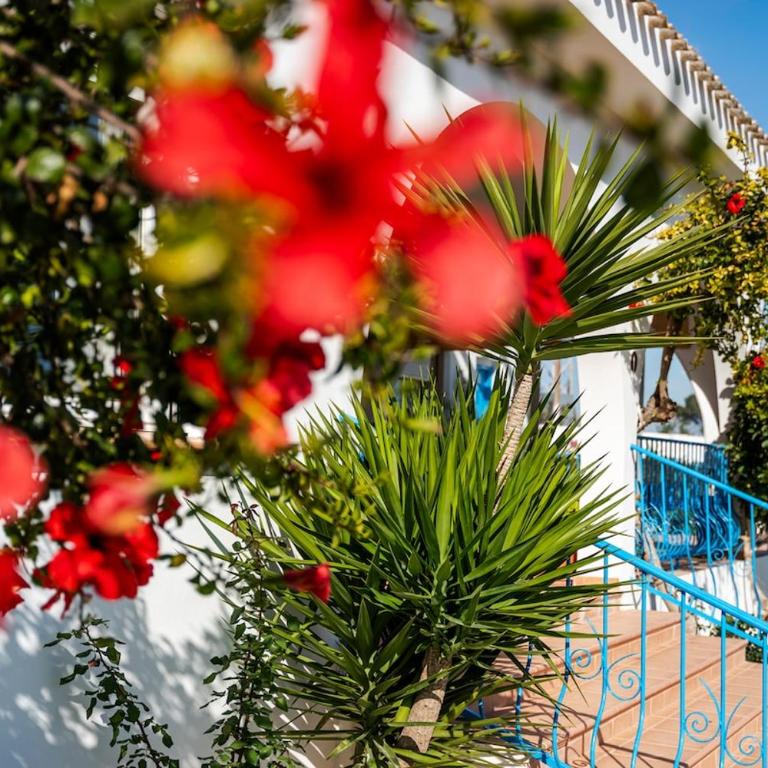 Villa Galandú - Villa - 22