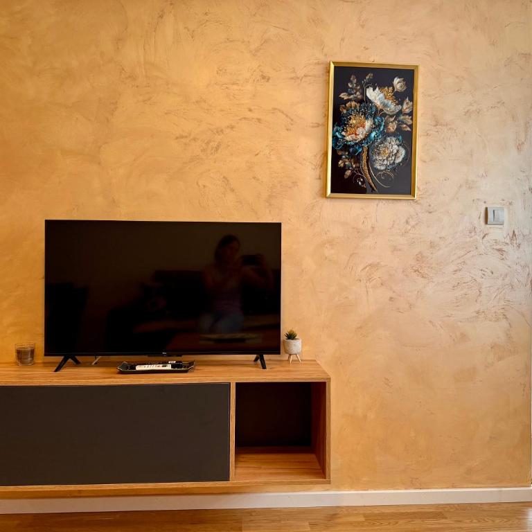 Luxe Apartman Sokobanja - One-Bedroom Apartment - 15