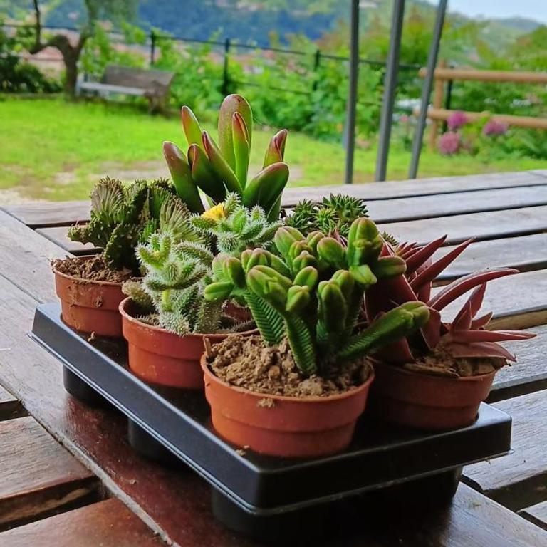 Le Drupe - Casa Vacanze - 29