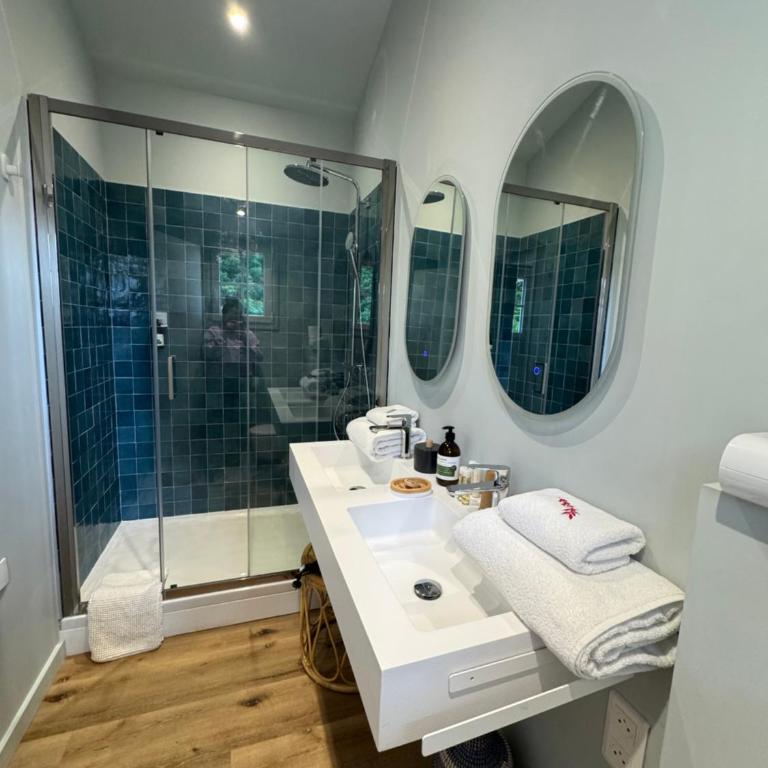 Villa Etchebri- Maison d'hôtes de charme - Camera Matrimoniale Deluxe - 10