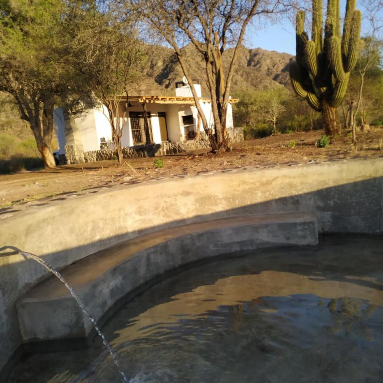 Cabañas Nido de Cóndores - Casa de 2 dormitorios - 11