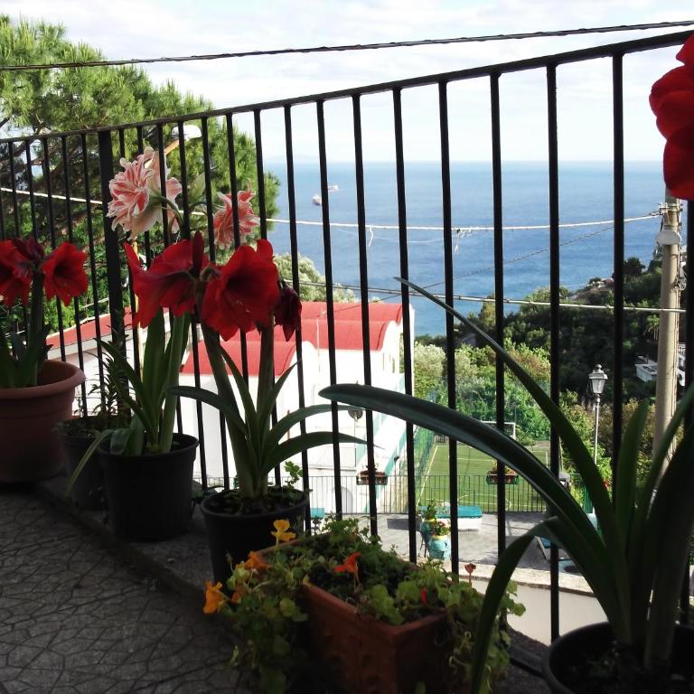 Le Mimose - Casa Vacanze - 74