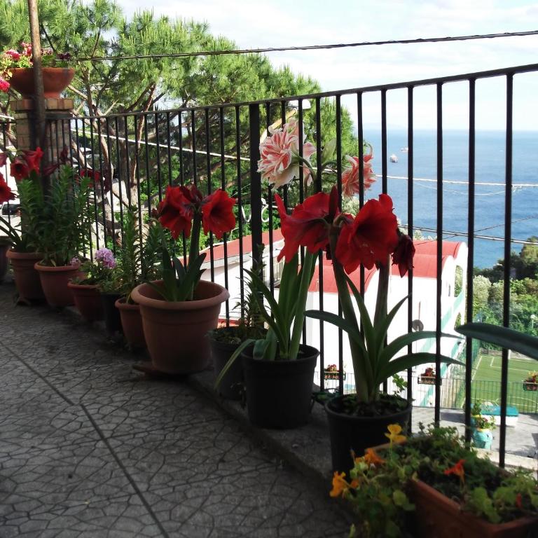 Le Mimose - Casa Vacanze - 75