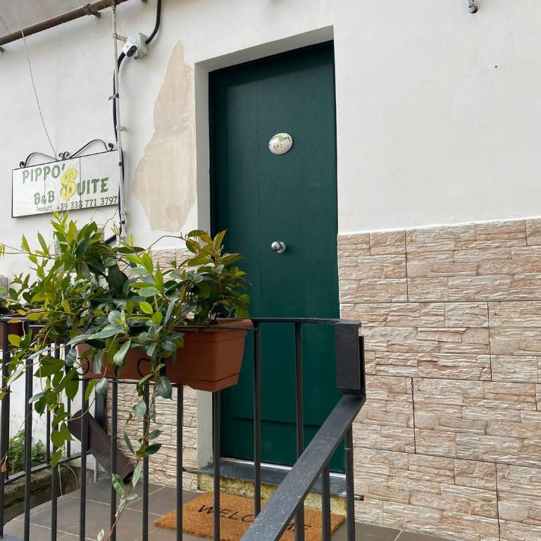 Vista Vesuvio - Double Room with Private Bathroom - 13