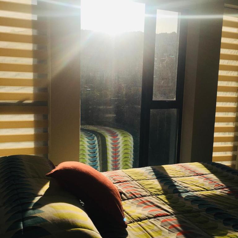 Casita 501 - Apartamento de 2 dormitorios - 1