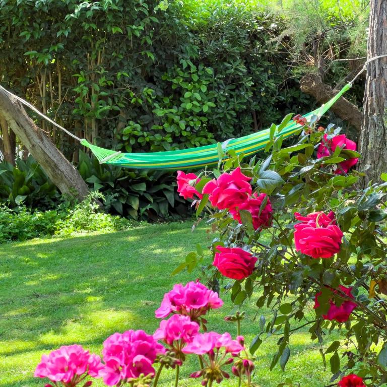 Casa delle Chicche - Imperia - Appartamento con 2 Camere da Letto - 1
