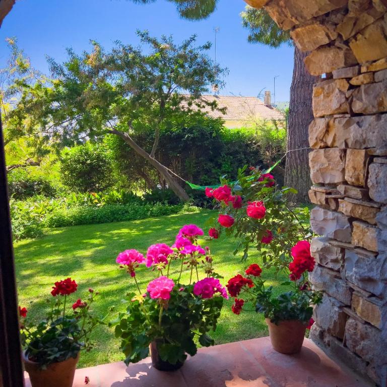 Casa delle Chicche - Imperia - Appartamento con 2 Camere da Letto - 4